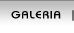 Galer�a